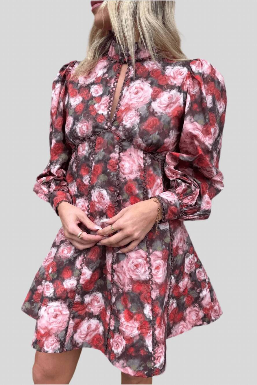 NEW SOPHIE THE LABEL portia dress in floral
